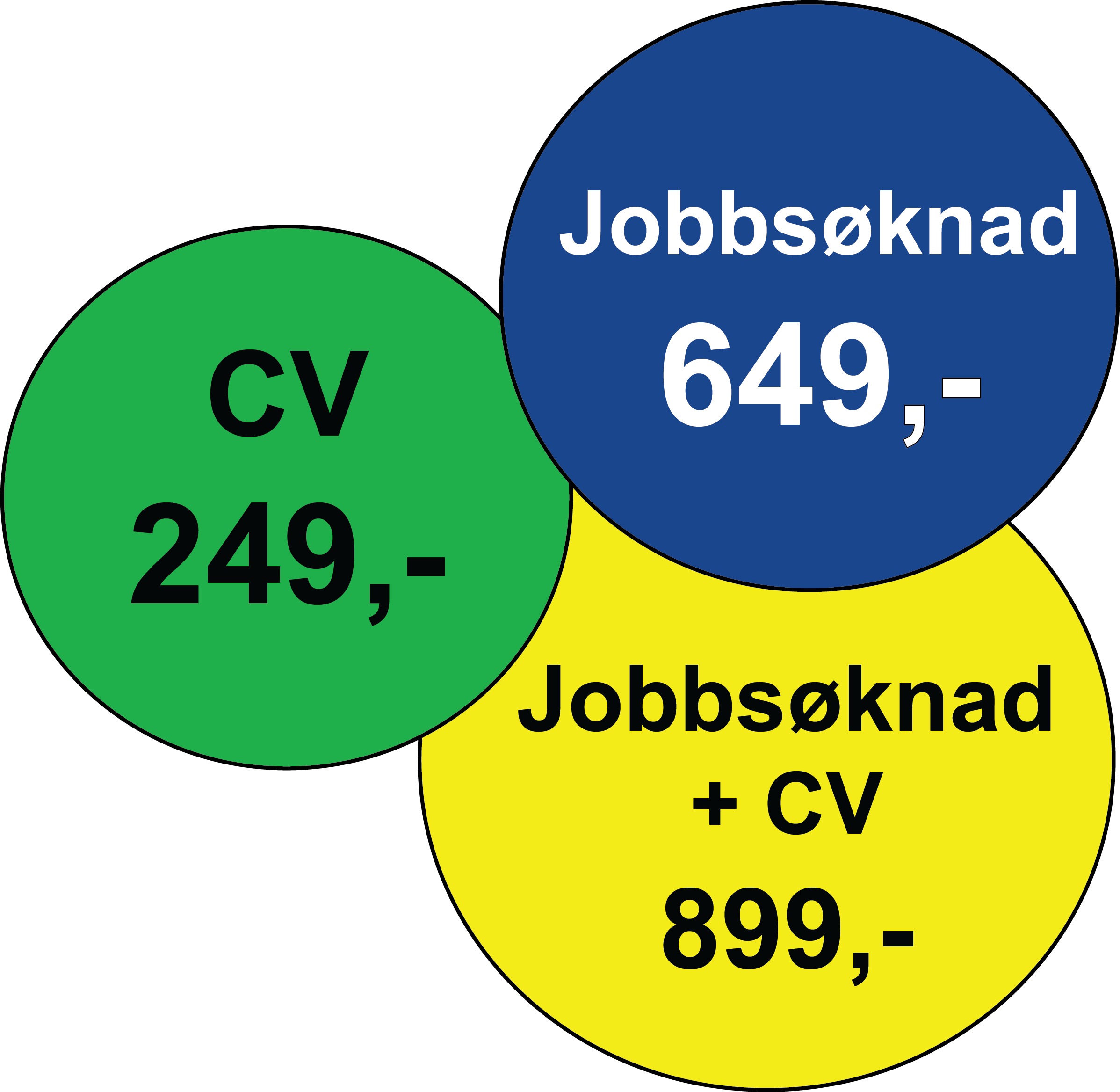 Hjelp til søknad som personlig assistent (BPA) - CV-Hjelpen